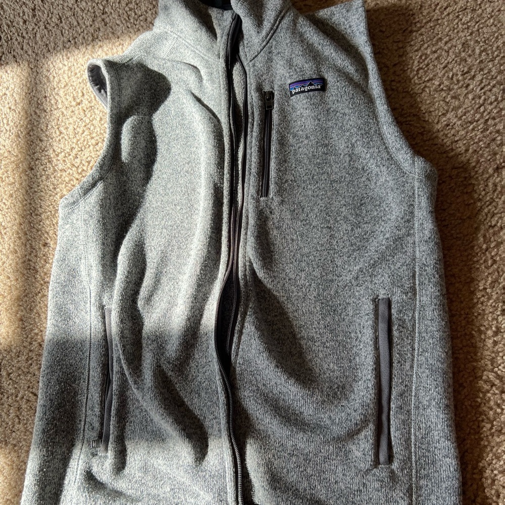 Patagonia Gray Fleece Vest